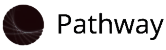 Partner firm 2